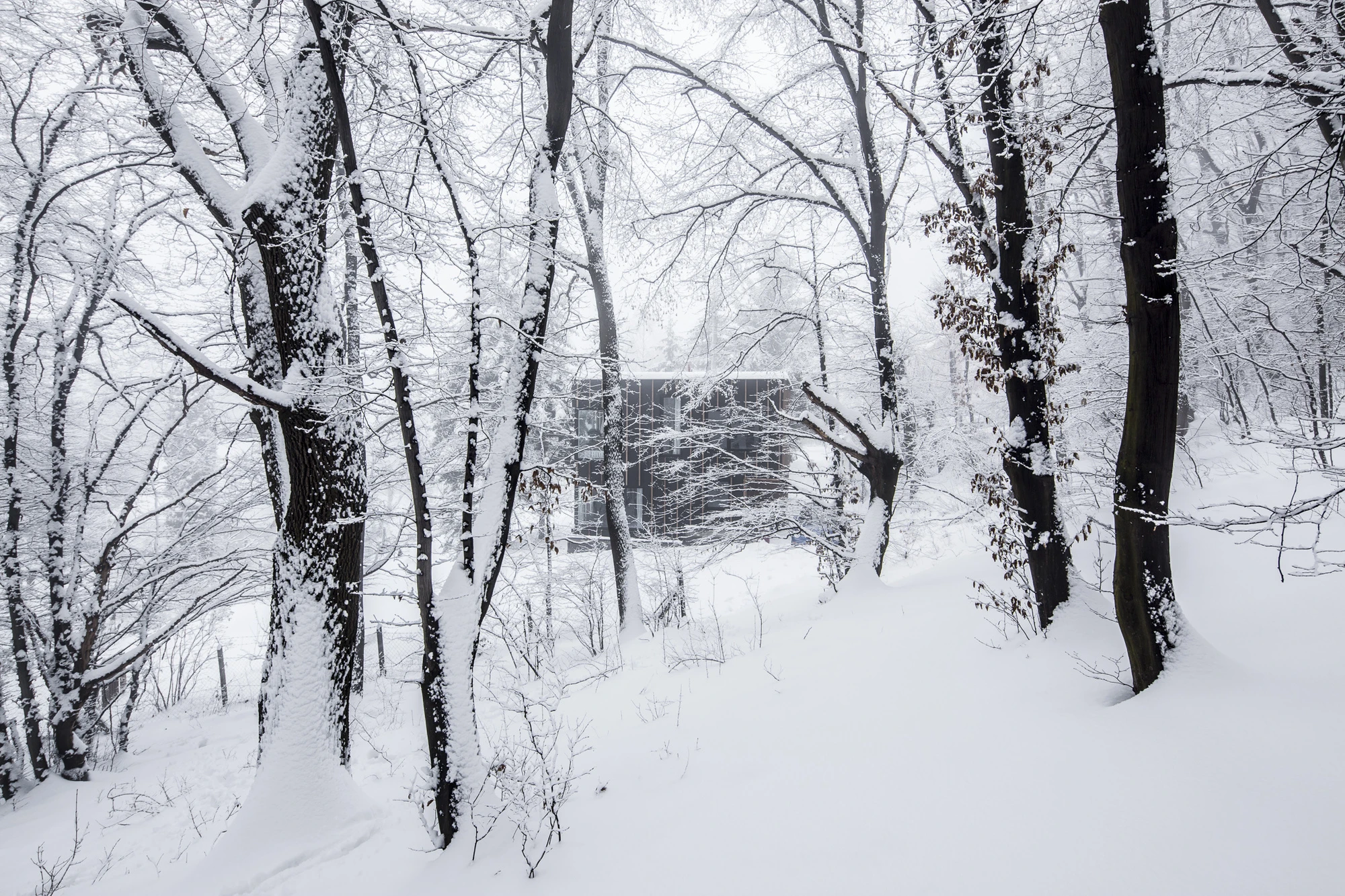 Black Magic House is heated by a wood stove and fireplace, with fuel provided by the nearby woods (Photo: Zsolt Batár)