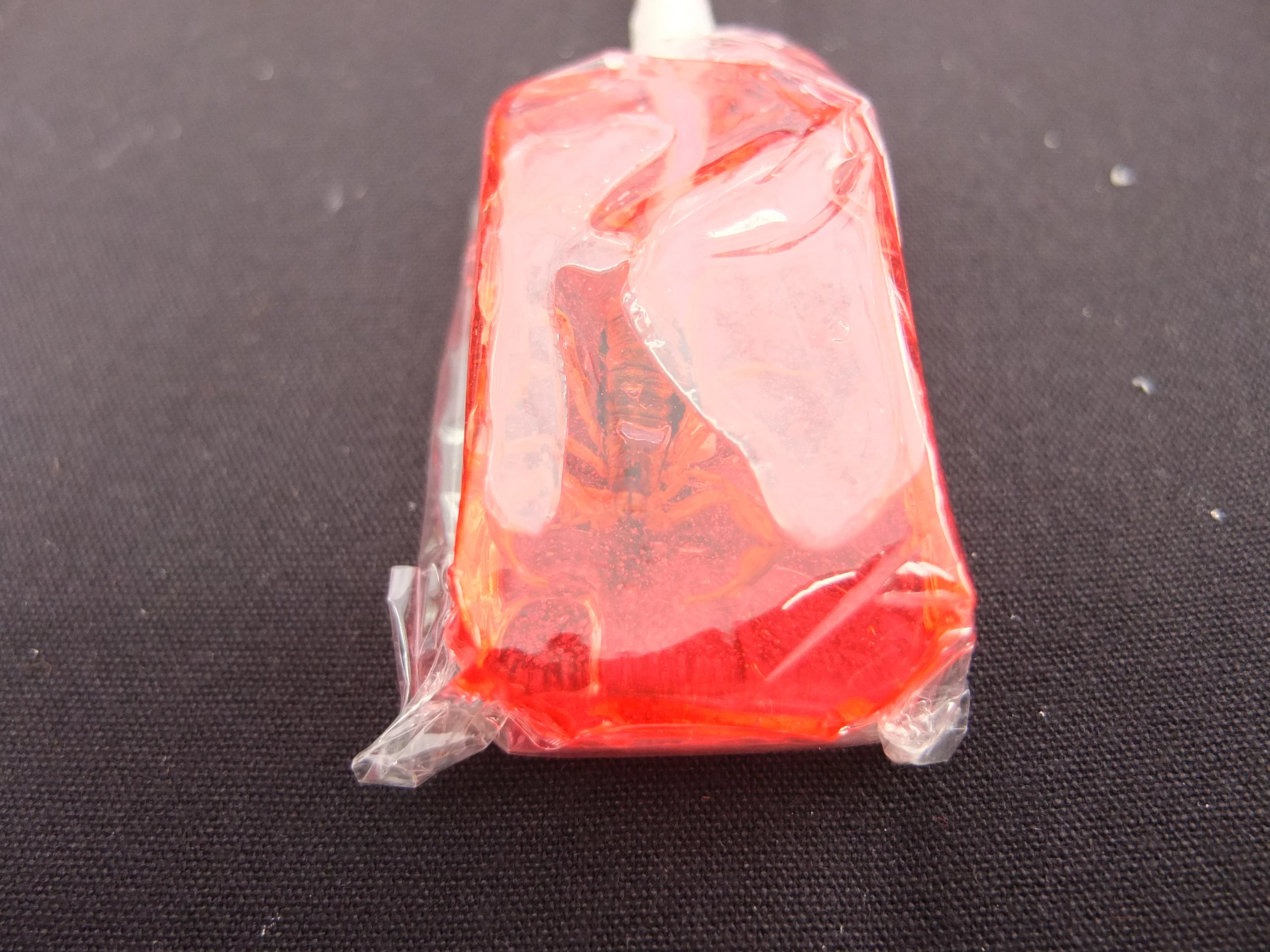 I resisted the novelty scorpion lolly (Photo: Gizmag)