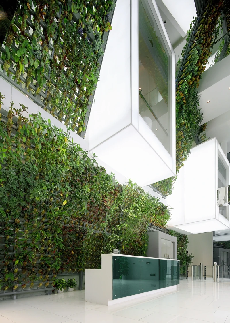 The tubes deliver water to the plants