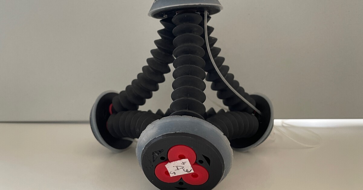 Versatile Tetraflex robotic adjustments form to maneuver in several manners Versatile Tetraflex robotic adjustments form to maneuver in several manners