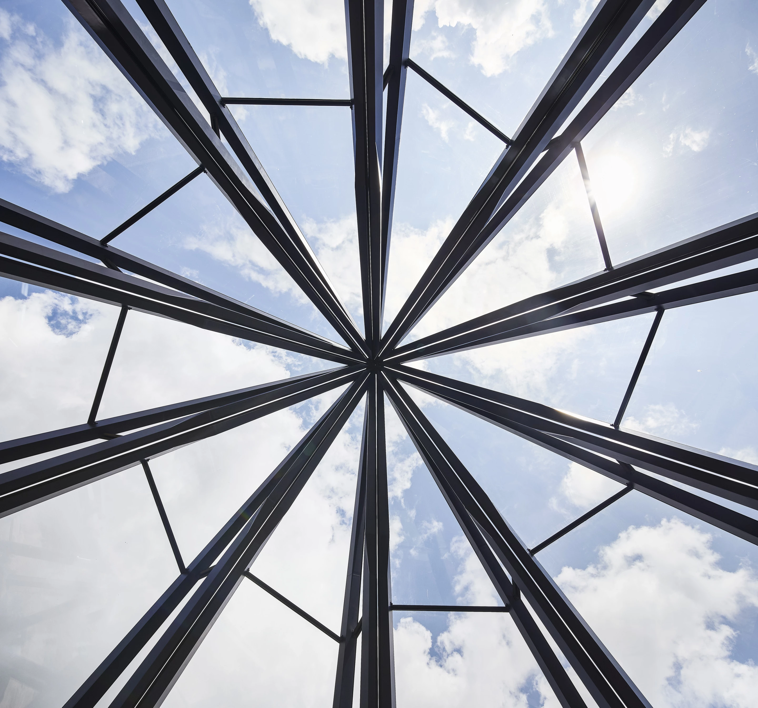 The Glasshouse consists of 10 individual "sepals" which are constructed from steel, aluminum and glass