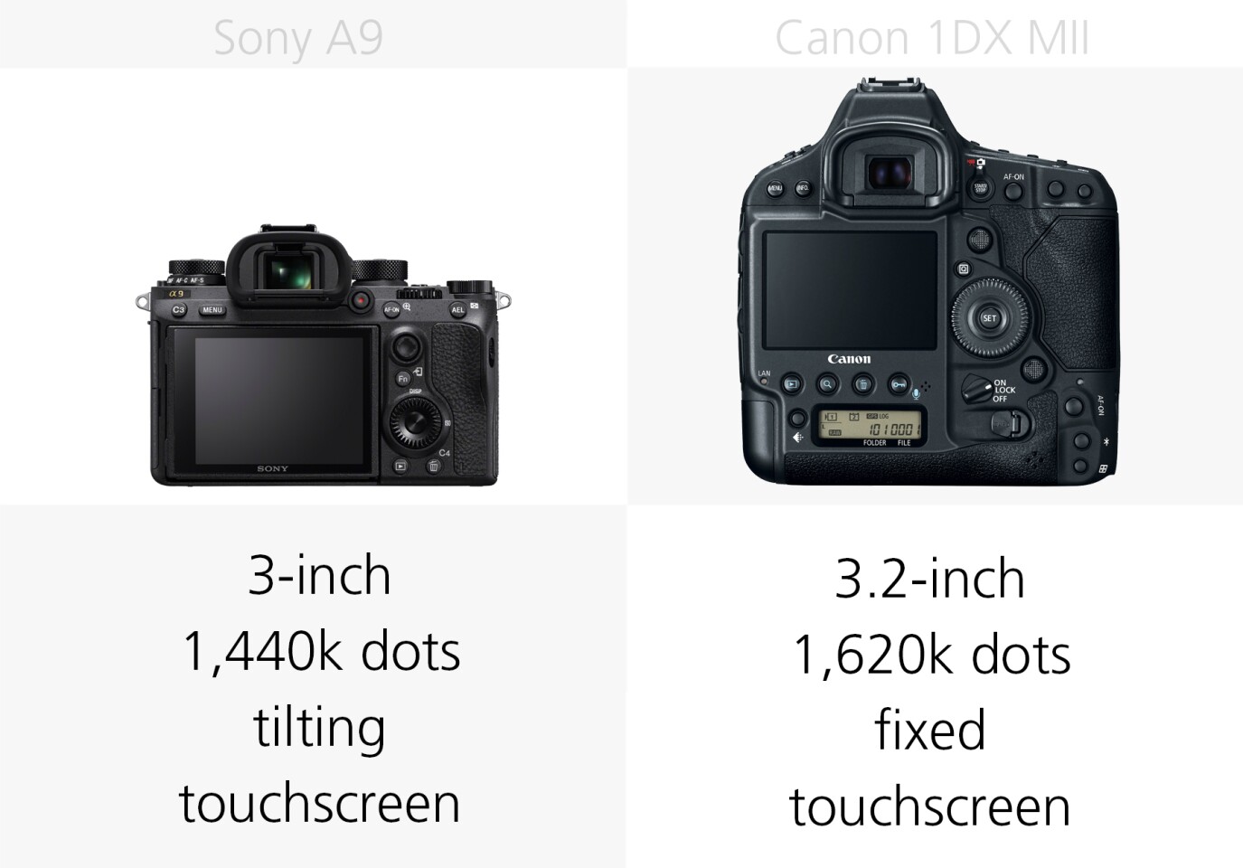Comparing the rear monitors of the Sony A9 and Canon 1DX Mark II
