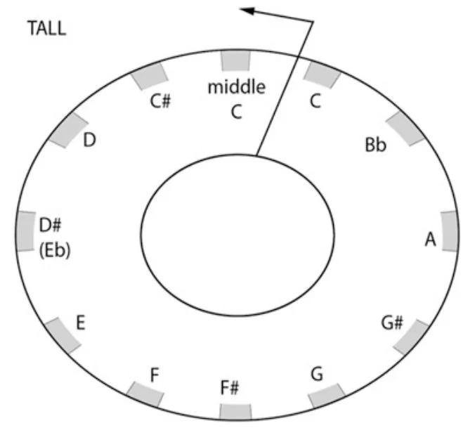 The layout of the notes on the disk (Image: D Wilde)