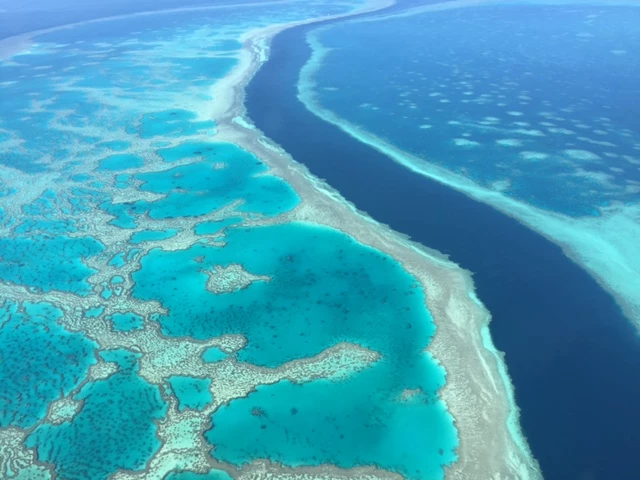 Australia's Great Barrier Reef has suffered repeated bleaching events in the last five years