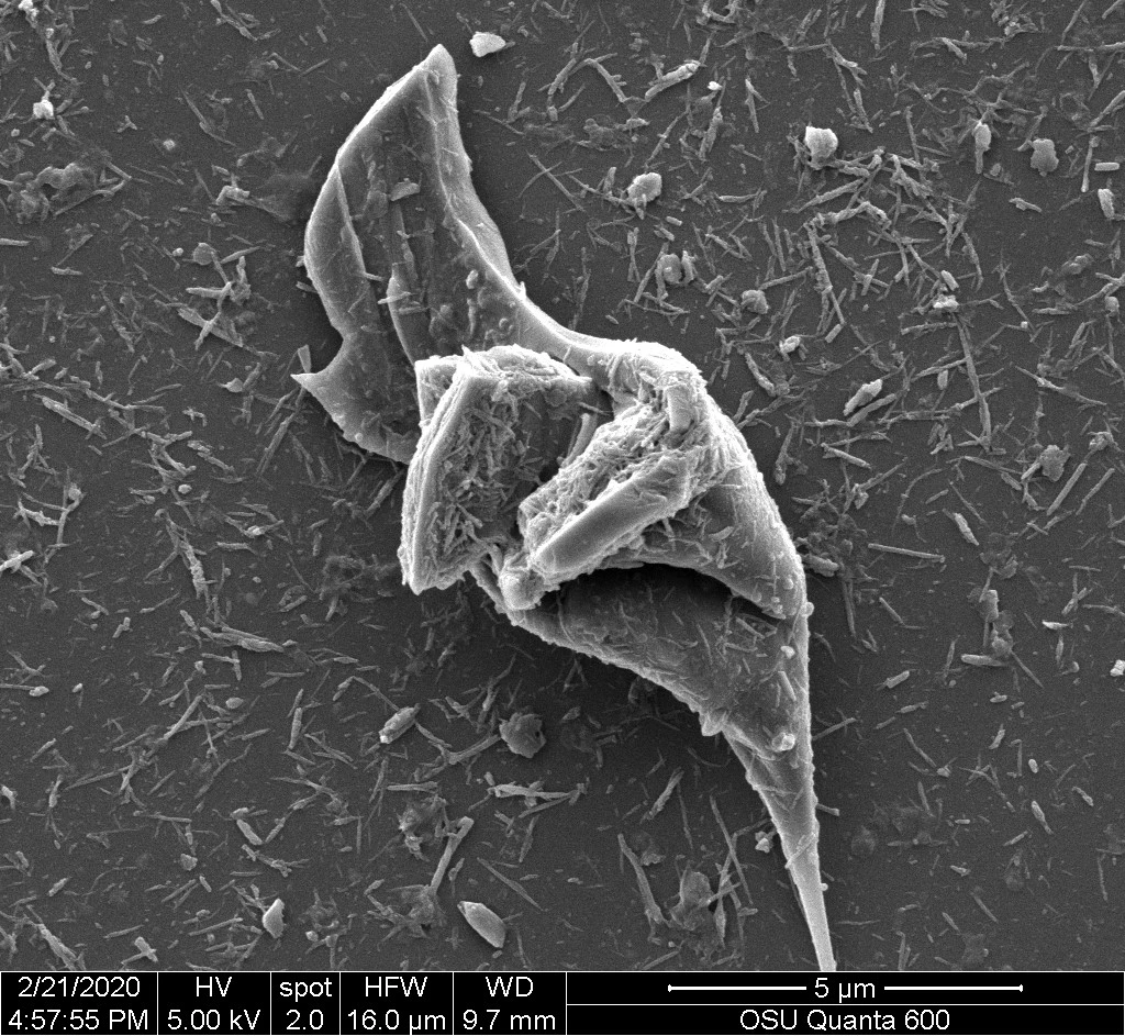 Microscopic image shows a larger tire microparticle surrounded by tire nanoparticles