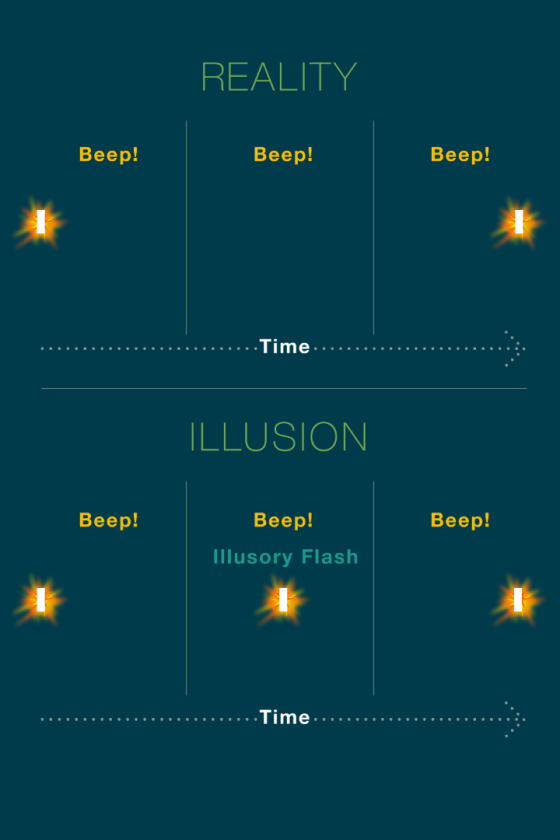 The fact that the illusory flash is perceived in between the left and right flashes is the key evidence that the brain is using postdictive processing