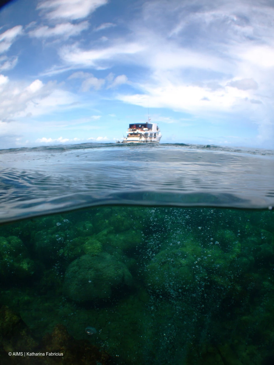 The reef is hard to access but famous for its diverse coral community