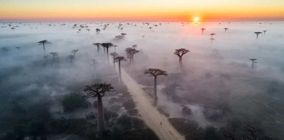 Here are some of our favorite shortlisted photographs in the Open - Nature / Landscape category