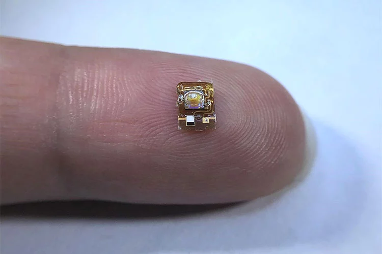 A new implant designed to track oxygen levels in deep body tissues is no bigger than a ladybug