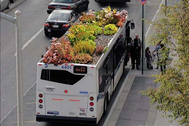 Digital mockup of a bus-top garden (Image: Marco Castro Cosio)
