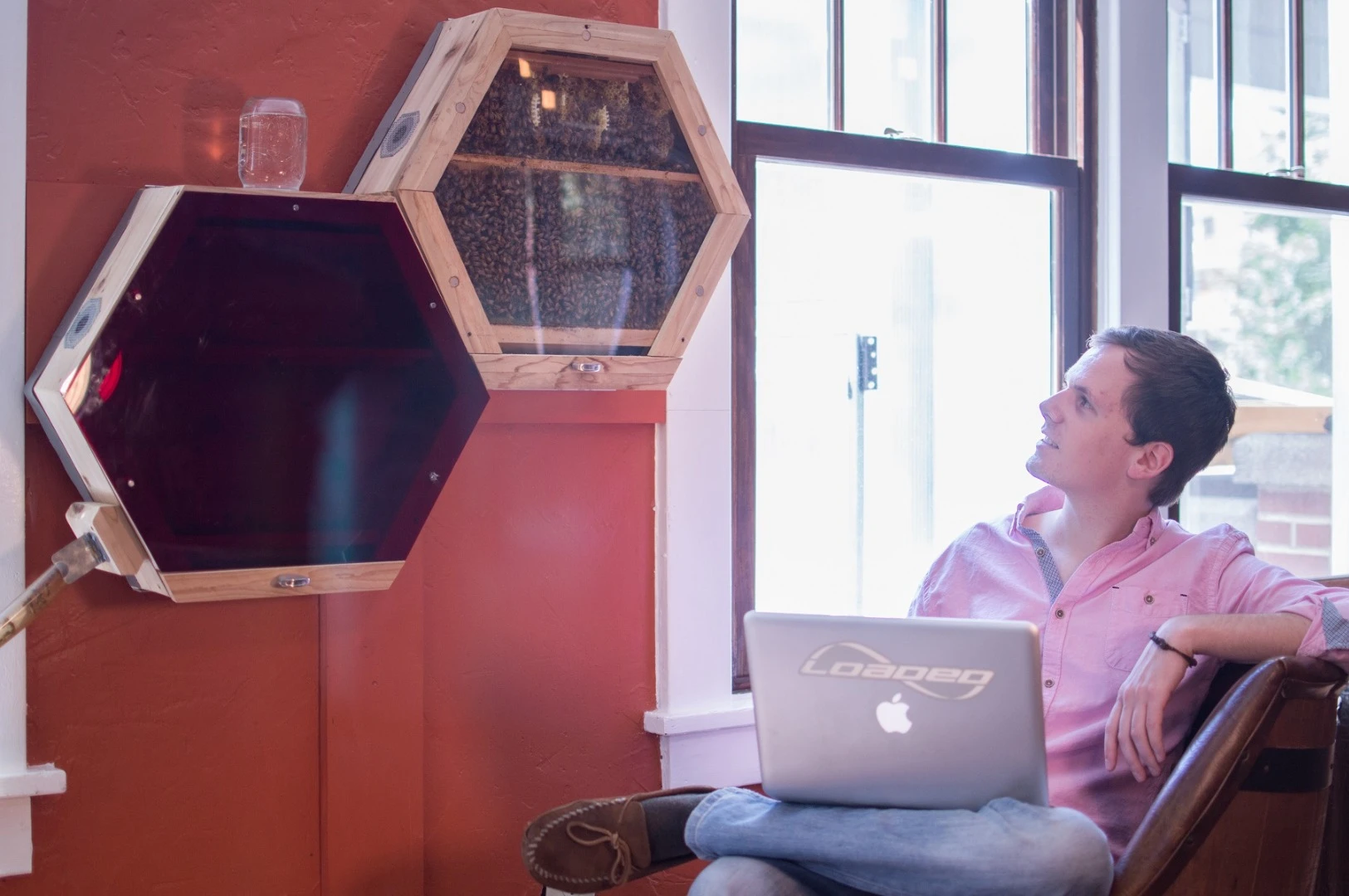 A red-tinted viewing cover allows users to look at the bees at night when they need to be shielded from artificial lighting to maintain their day-night cycles
