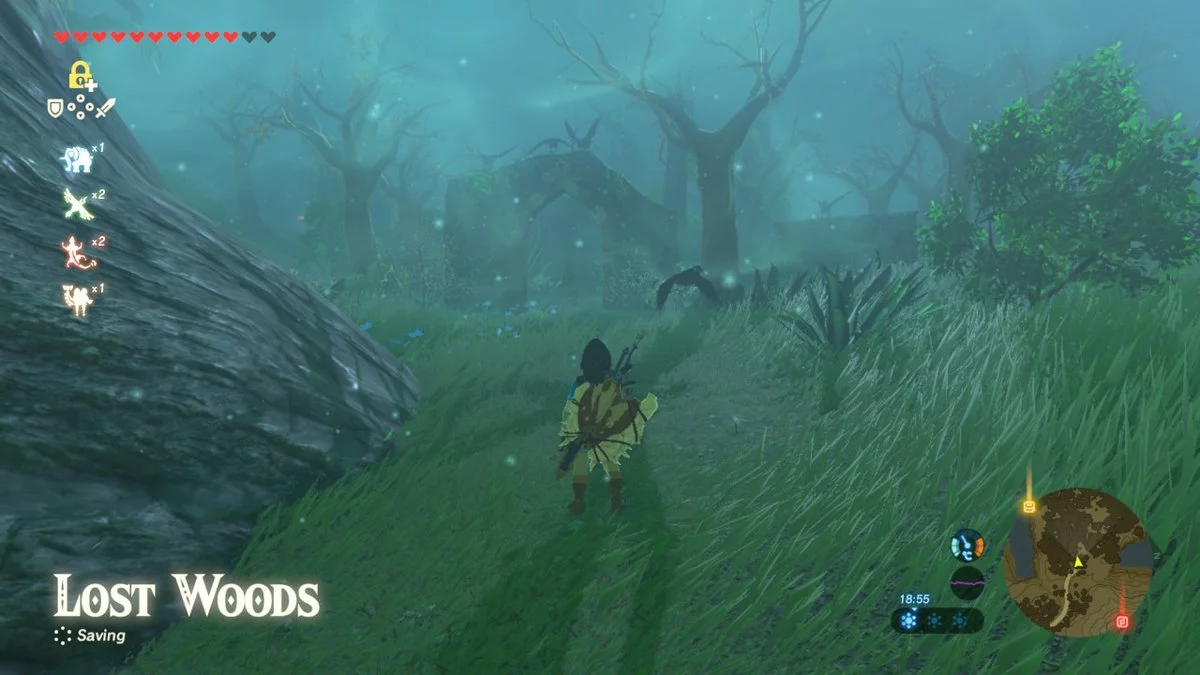 The Master Sword is located in the Lost Woods