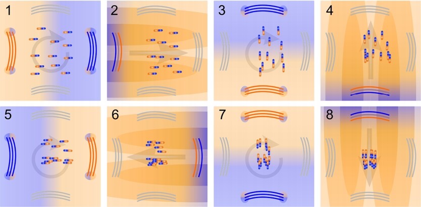 The new approach pushes metal nanoparticles away from a magnet by applying a series of quick magnetic pulses (Image: University of Maryland)