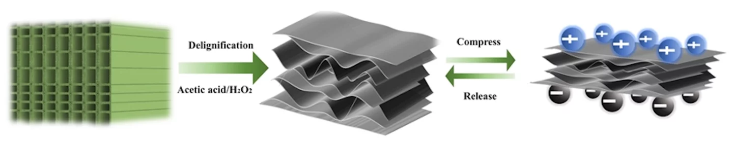 A diagram of how the wood sponge nanogenerators are made and work
