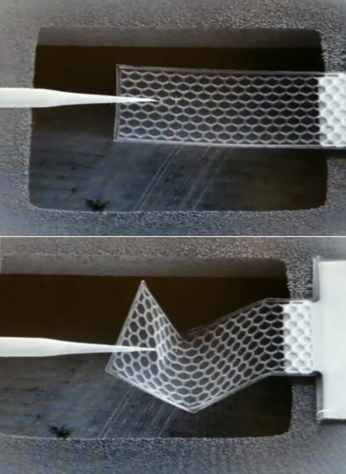 The stiffness and strength of the plates is due to the hexagonal corrugation of the material