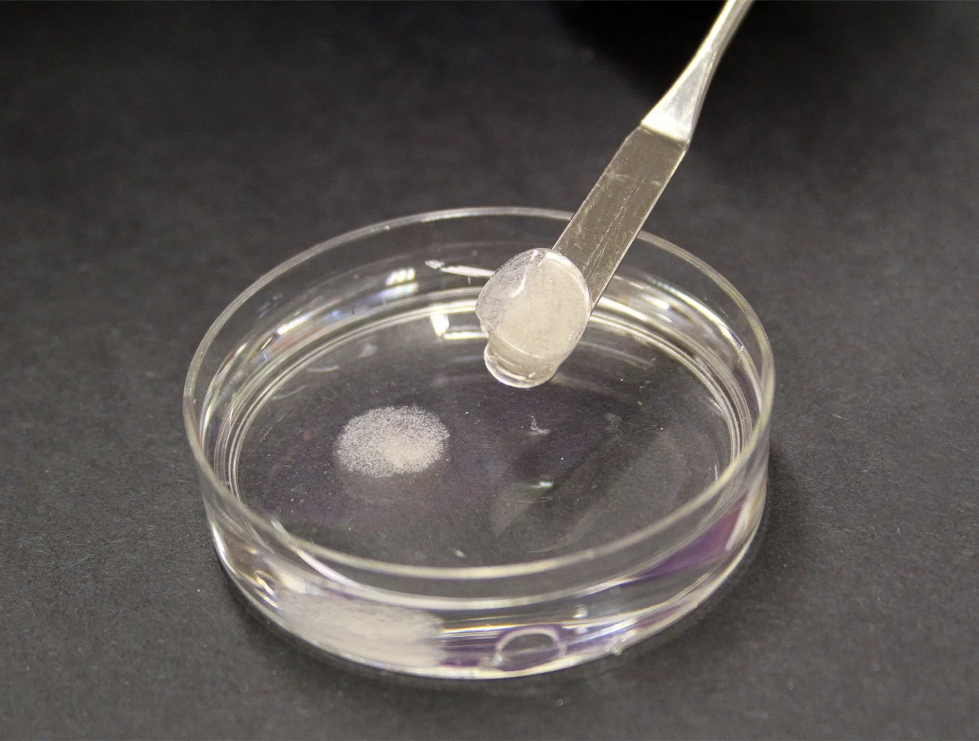 A sample of the eggshell powder-enhanced bone-growing hydrogel