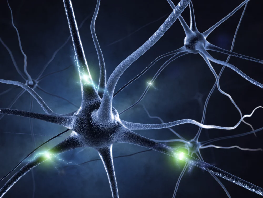 Researchers at the University of Texas are exploring the possibility of electrically stimulating the visual cortex of the brain to create simple images and shapes (Image: Shutterstock)