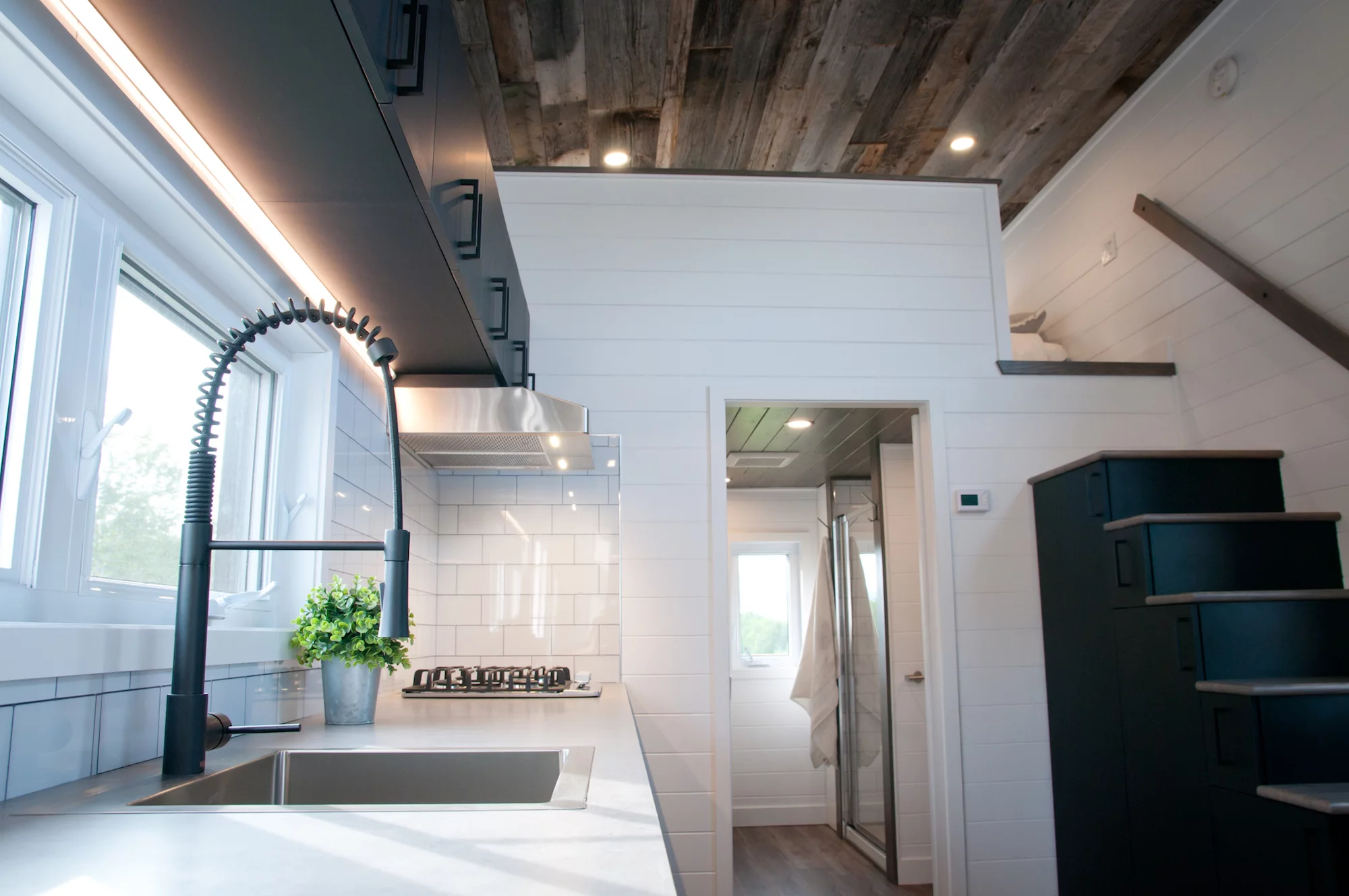 The Baobab measures 38-ft (11.5-m)-long