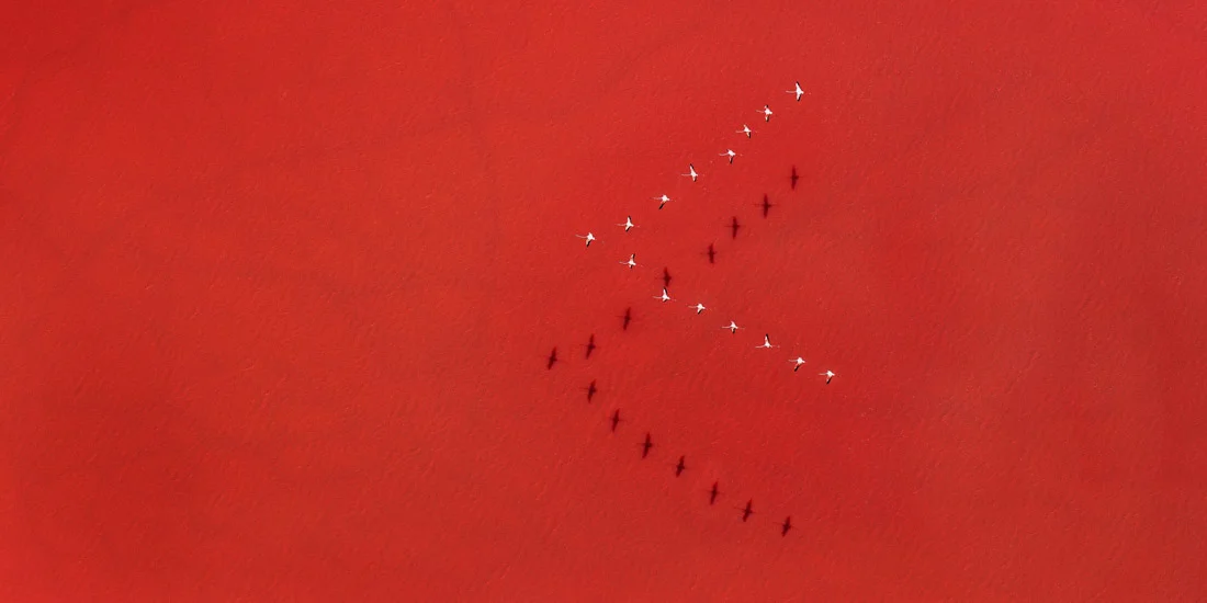 Here are some of our favorite shortlisted photographs in the Open - Nature / Landscape category