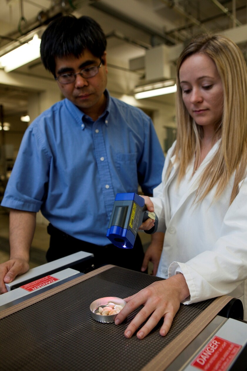 Wade Yang, left, has used pulsed light to remove 80 percent of the allergens from a whole peanut (Photo: UF/IFAS file photo)