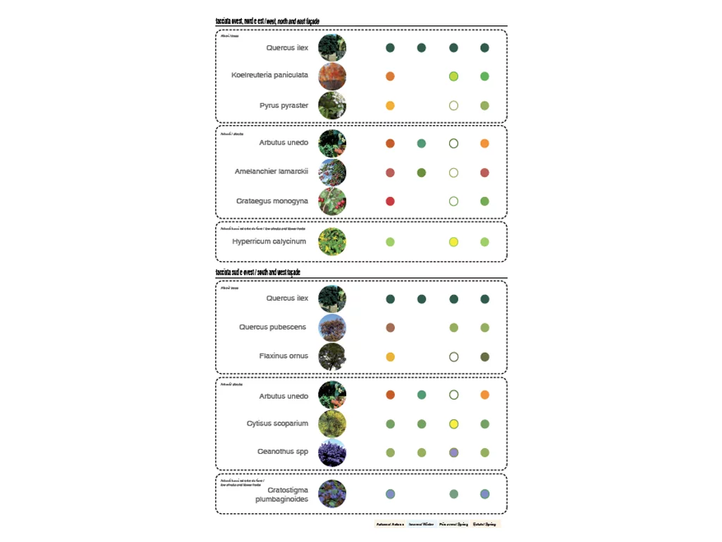The selection of plants chosen for the towers (image from Stefano Boeri)