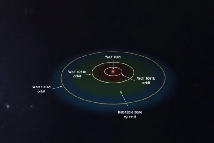 Wolf 1061 and its orbiting planets with the habitable region in green