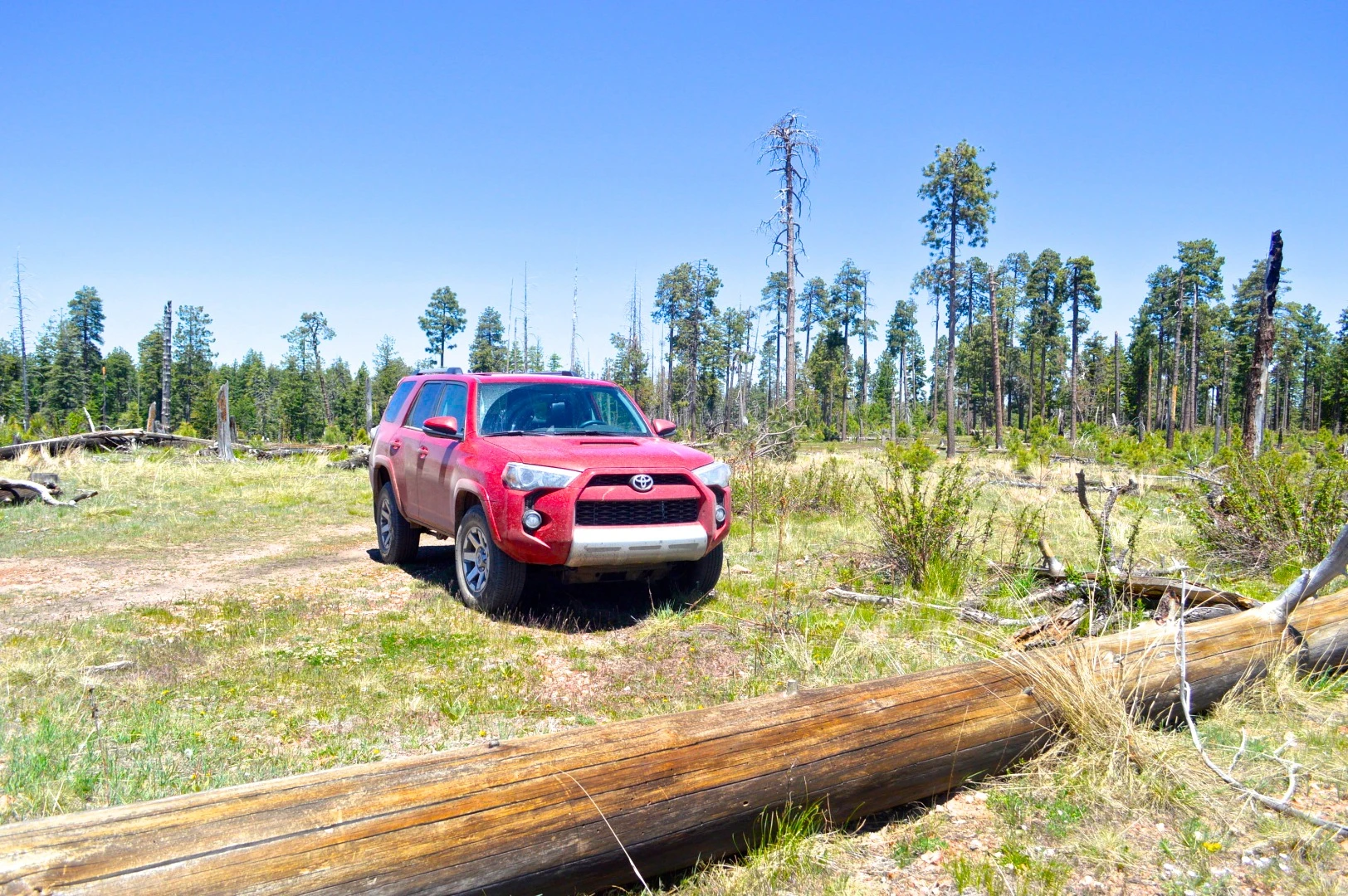 Off road through national forest