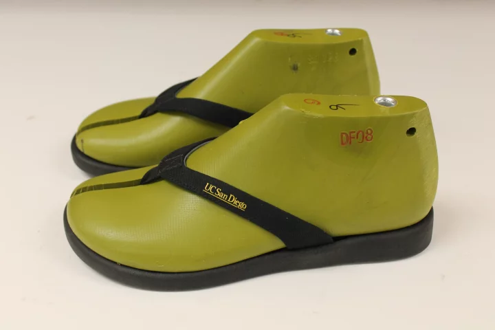 Scientists at University of California San Diego have used algae oil to produce biodegradable flip flops