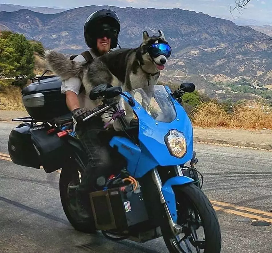 Electric Terry with Charger
