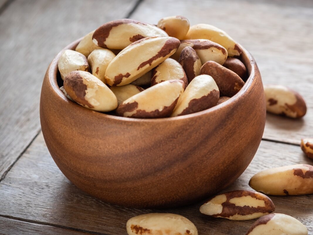 One nut could be our best chance at saving the Amazon from deforestation