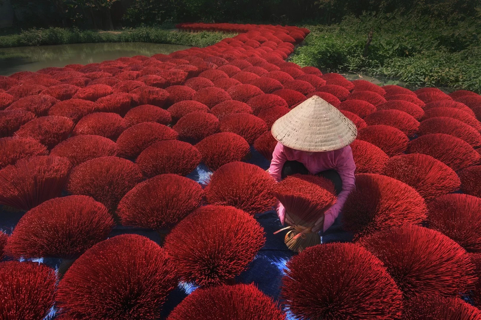 Honorable Mention in Splash of Colors. In Vietnam, red is the color of good luck and is traditionally considered the symbolic color of happiness. Joss sticks are offered at altars to obtain good business and good fortune