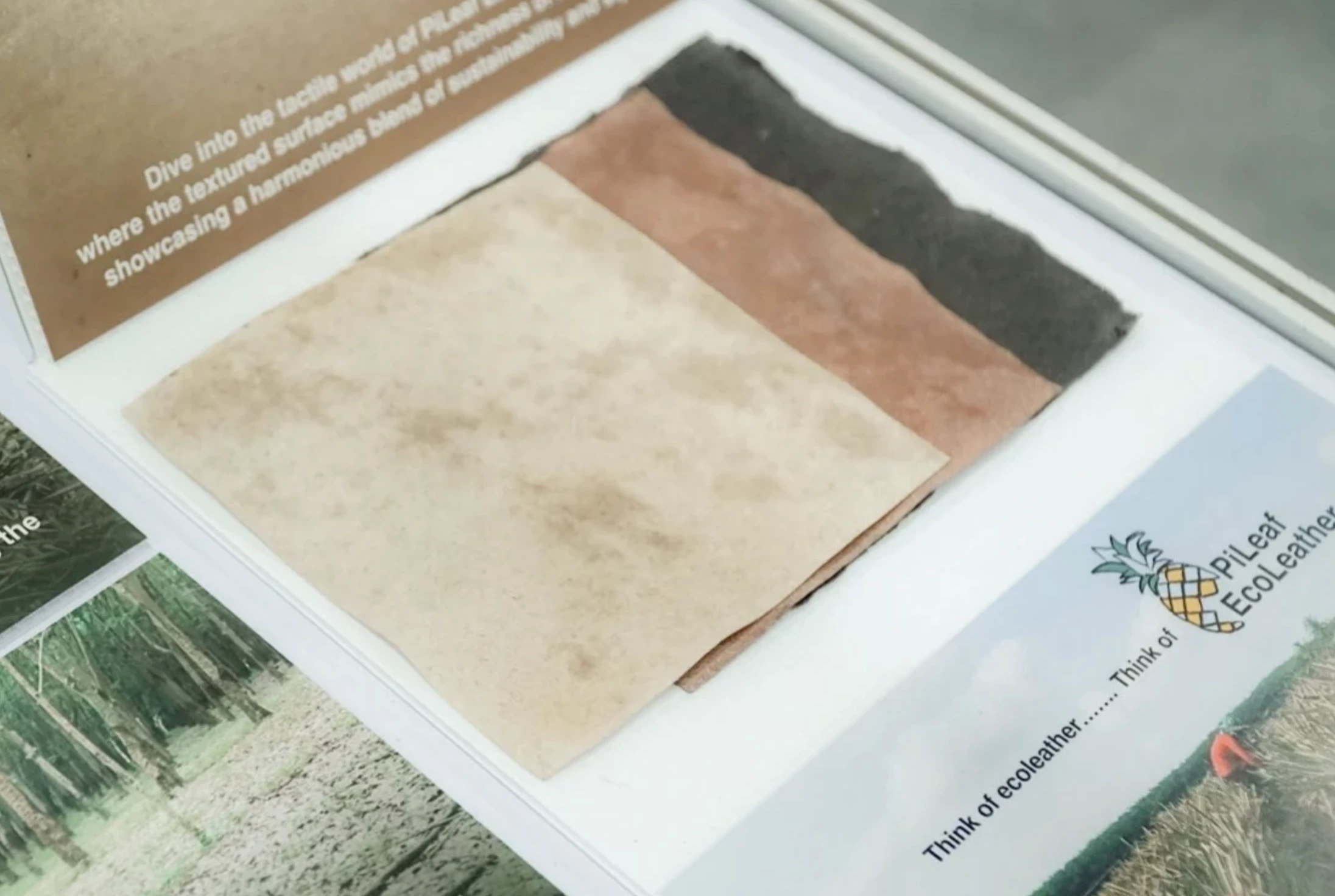 Leather from pineapple leaves