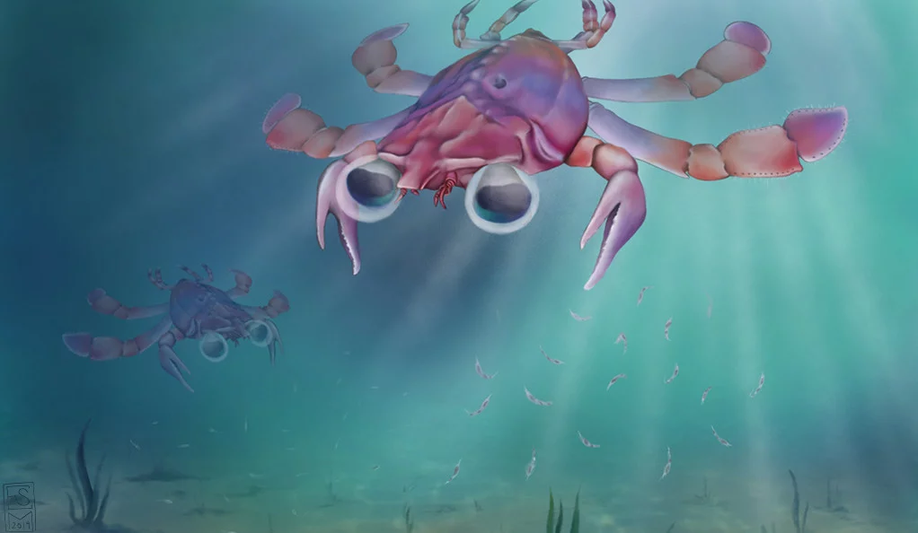 Artistic reconstruction of Callichimaera perplexa