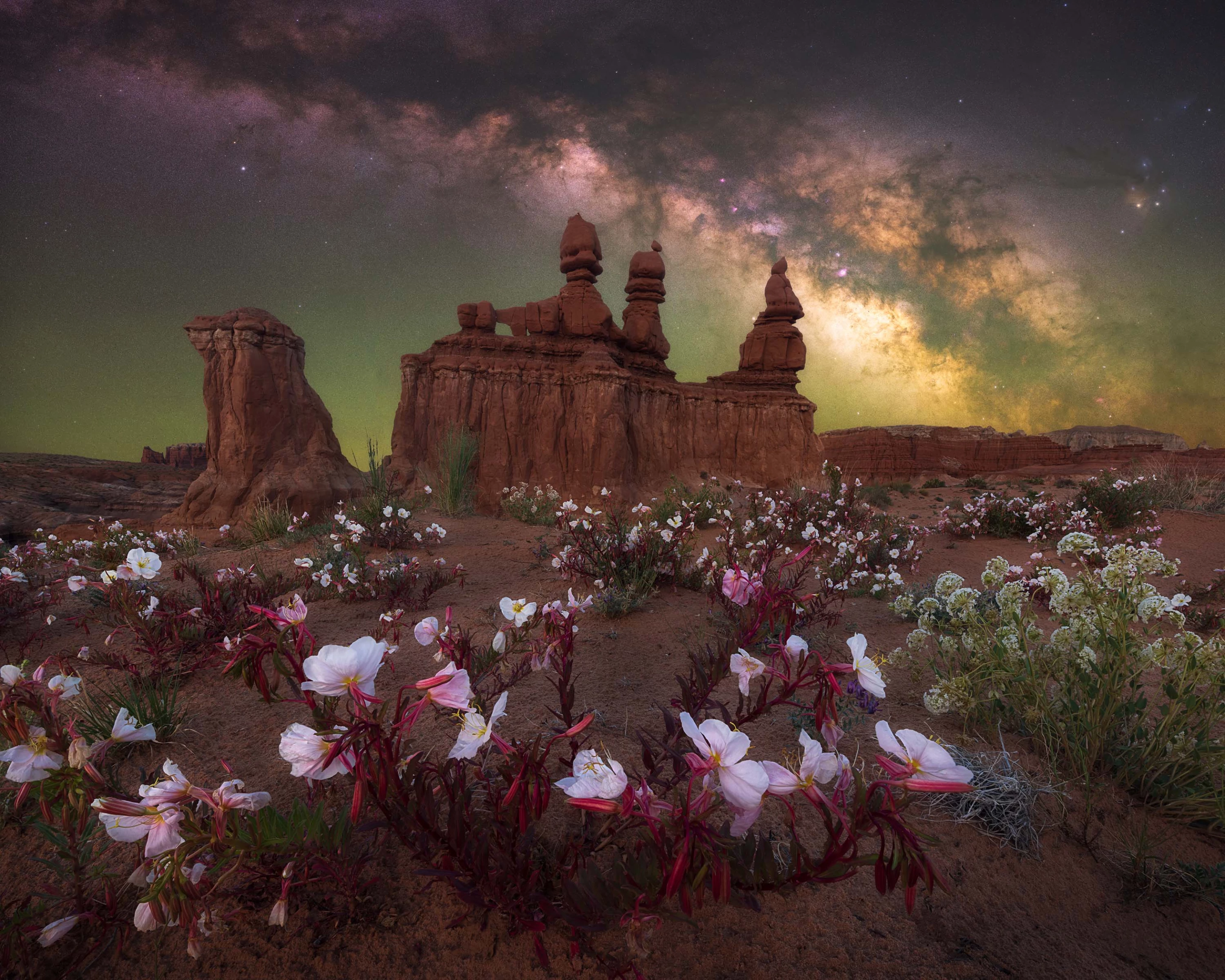 Desert Bloom by Marcin Zajac, shot in USA. Wildflowers bloom near the Three Sisters in Goblin Valley State Park, Utah.