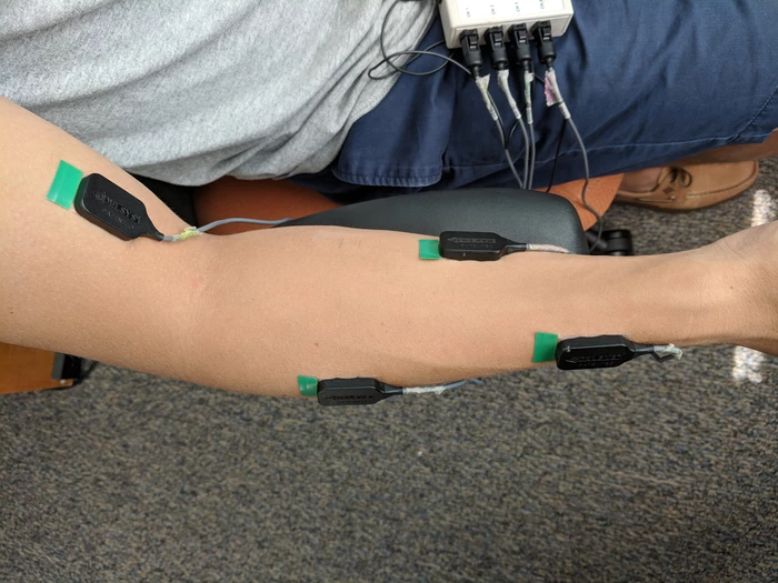 A new study has explored how sound cues played during sleep can help subjects learn to play a computer game, controlled by activating specific arm muscles