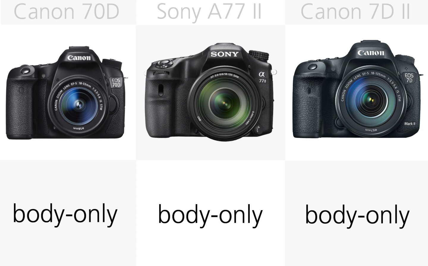 Canon's 70D and 7D Mark 2, along with the Sony A77 II are typically available body-only