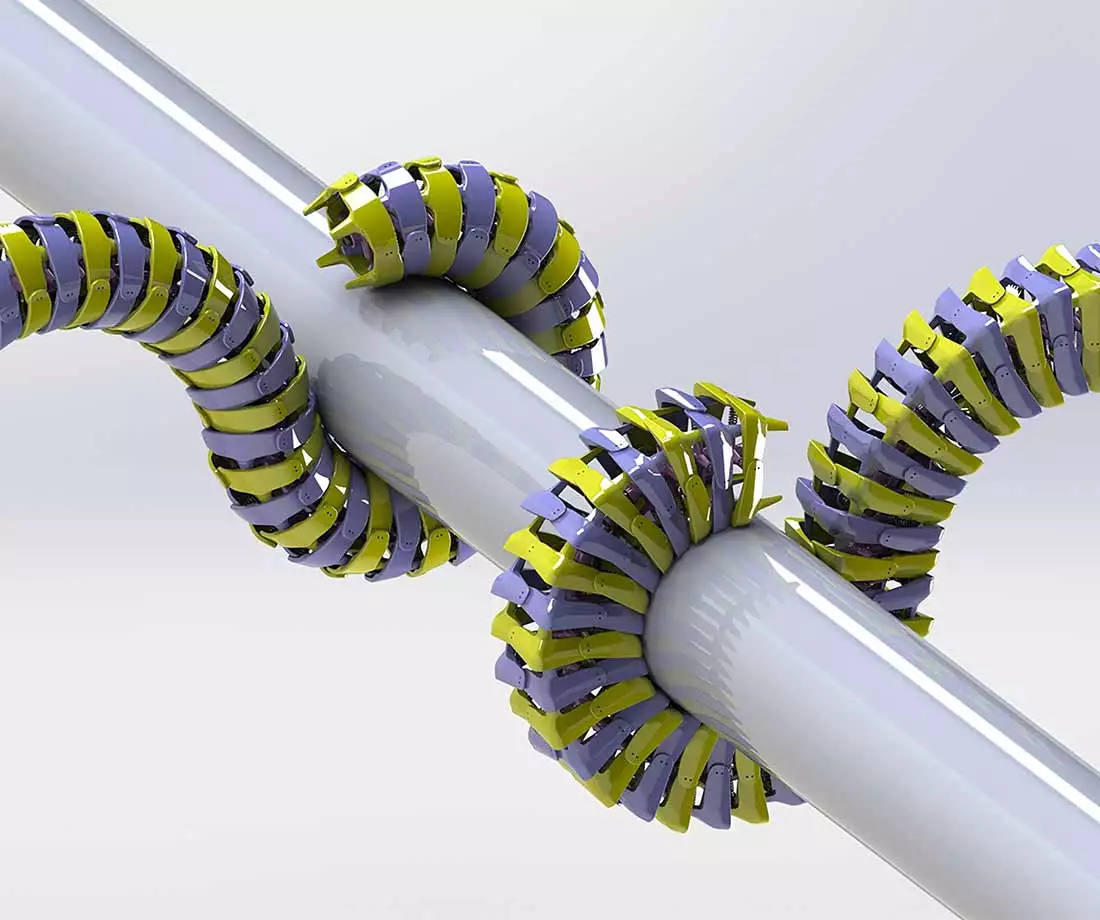 Seahorse-inspired models displayed superior grasping ability