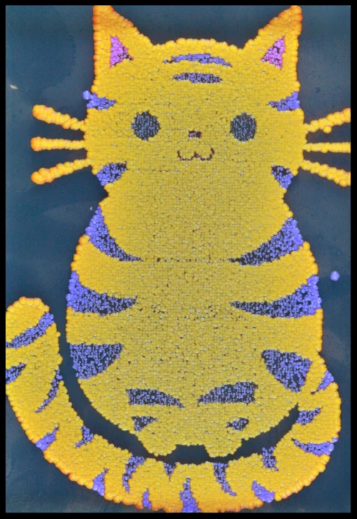 Yeast cat