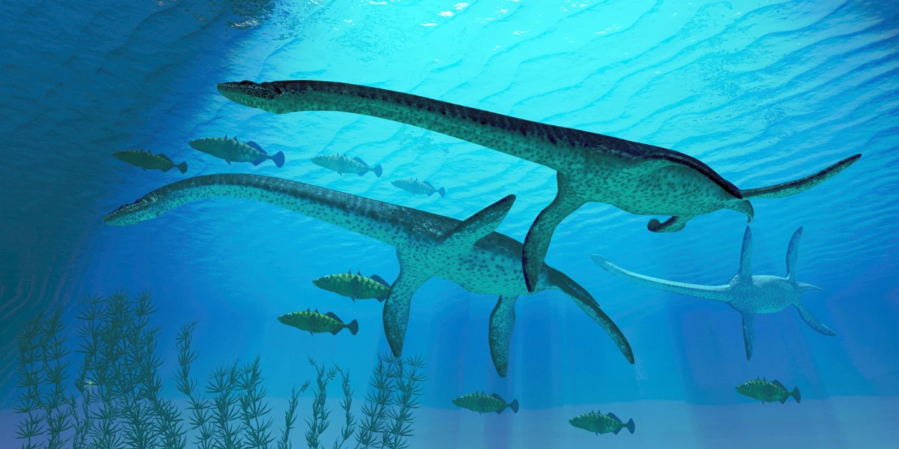 Plesiosaurs were apparently onto a good thing, a long time ago