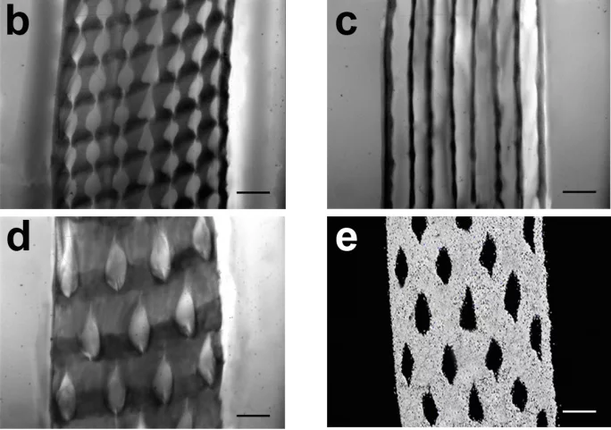 Different patterns of the patient's cells are used to make them go further