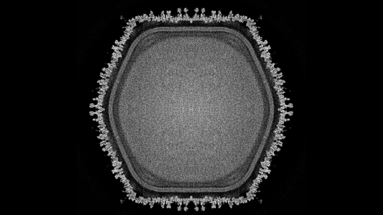 Newfound giant virus holds clues to how complex life evolved Newfound giant virus holds clues to how complex life evolved