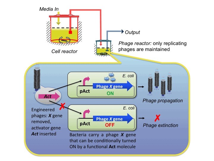 A diagram illustrating how the evolution machine works