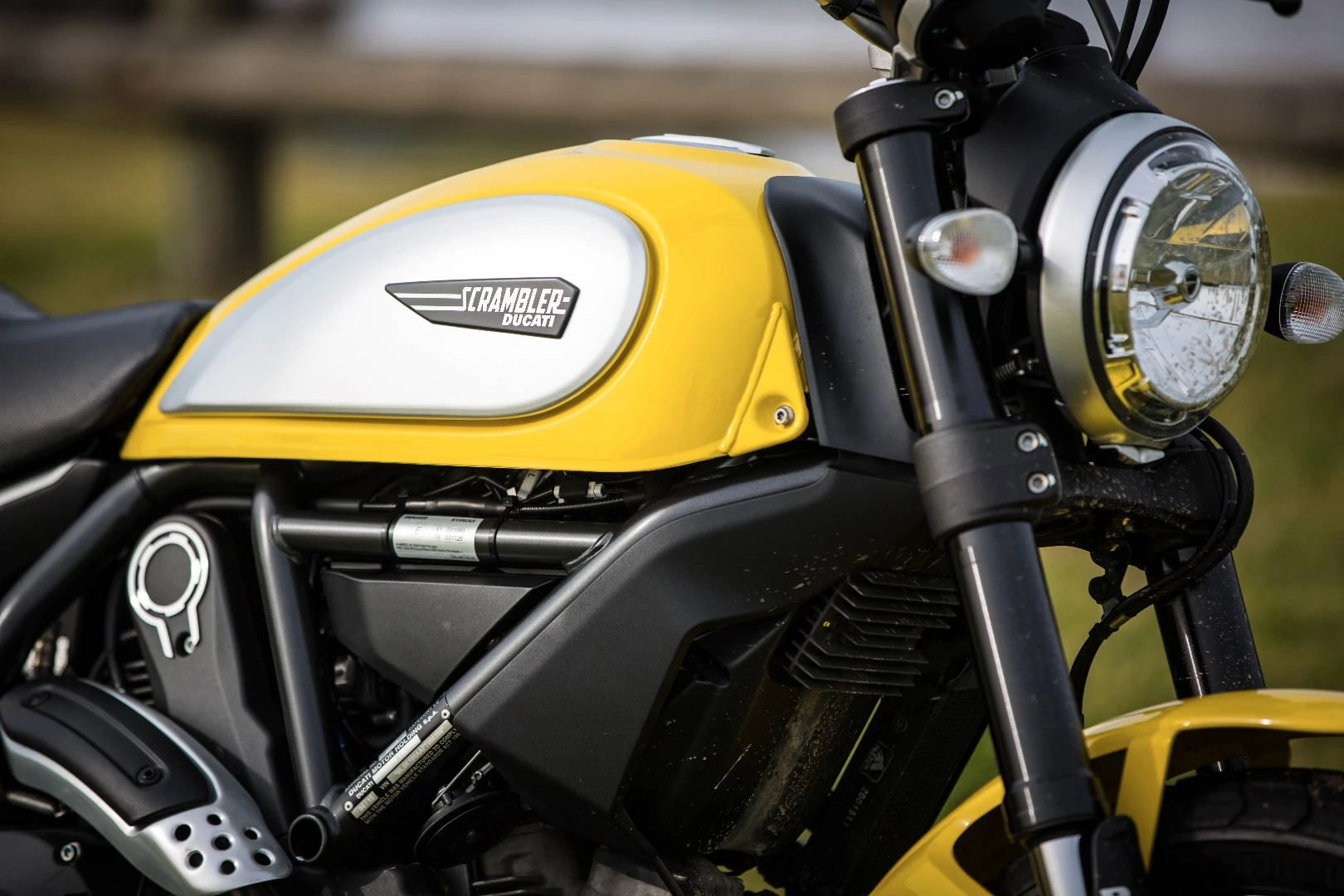 2015 Ducati Scrambler – attractive tank