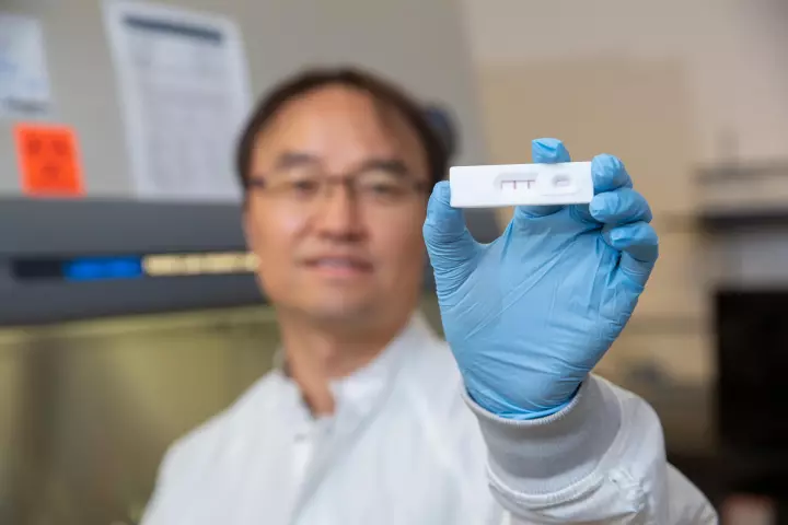 The single-use kit detects toxins produced by Porphyromonas gingivalis bacteria