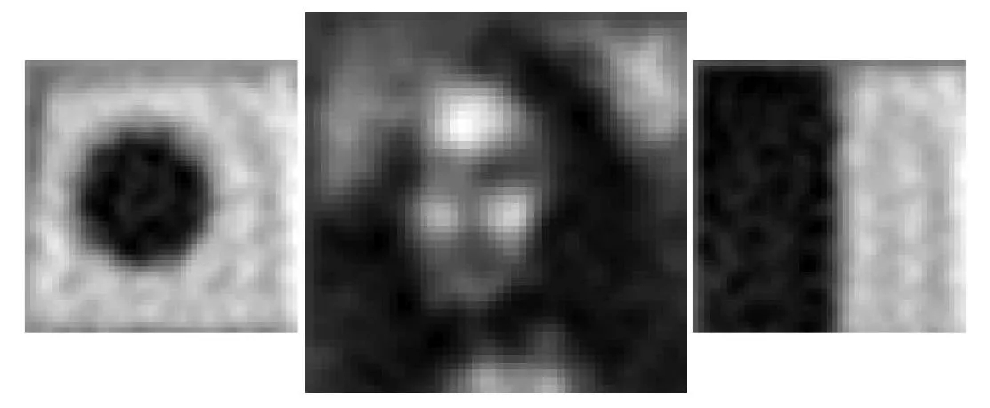 A spot, the Mona Lisa, and a stripe, as imaged by the PFCA (Photos: Patrick Gill)