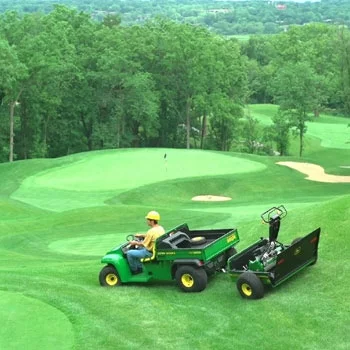 The domestic version