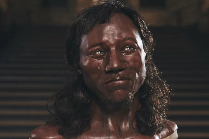 Reconstruction of Cheddar Man, so named for his discovery in Somerset's Cheddar Gorge in 1903