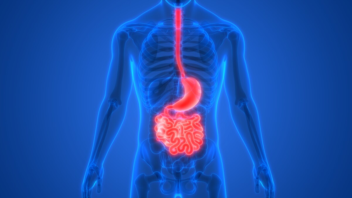 A new type of breath test could reveal a known precursor for esophageal cancer, new research has revealed