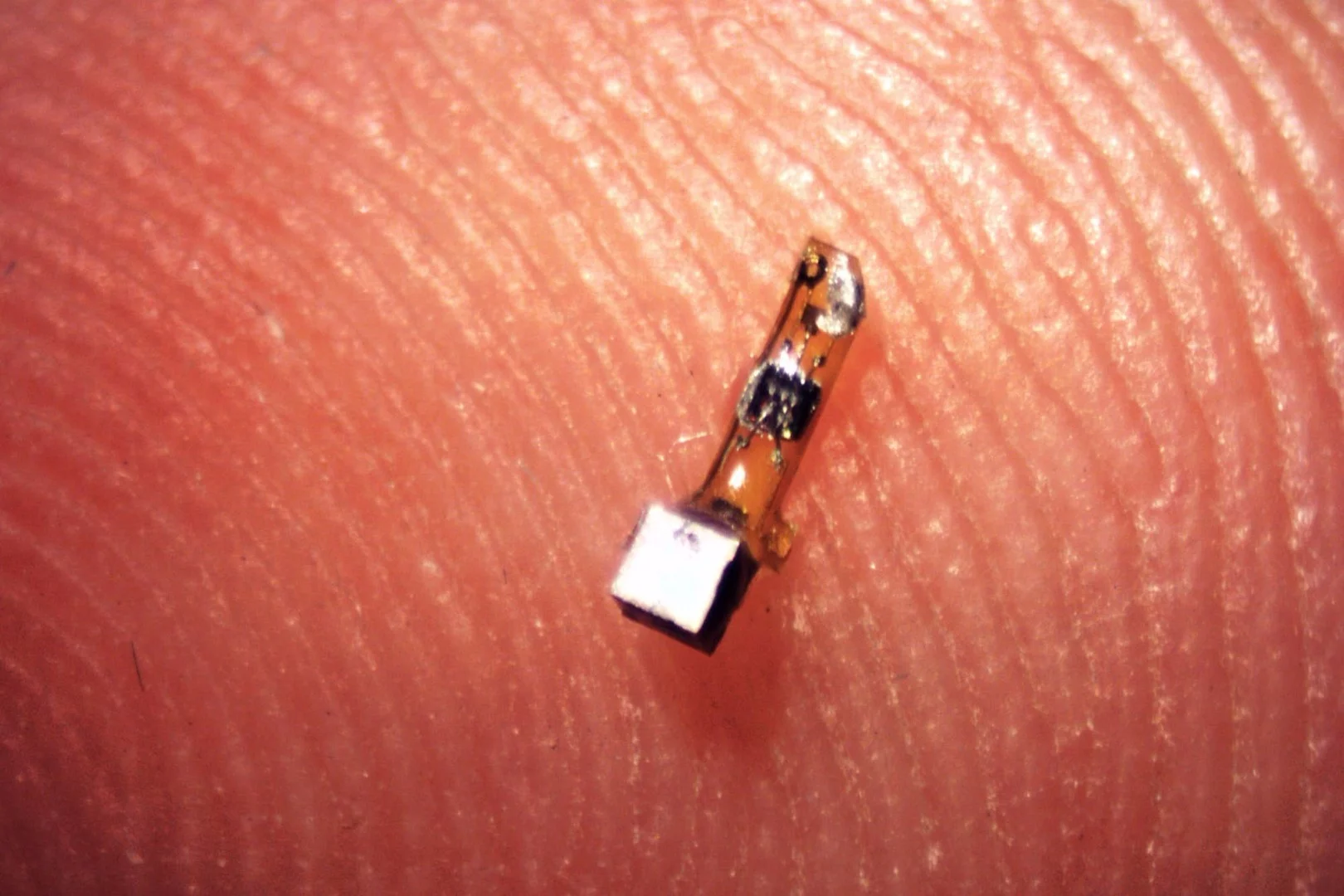 The researchers behind Neural Dust hope to shrink the wireless sensors down to a 50 micron size to fit them into the brain