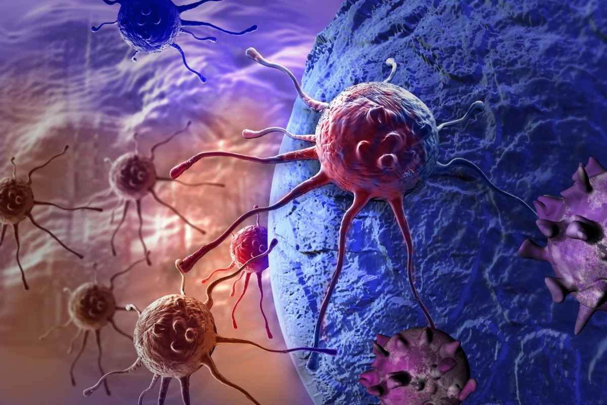 Scientists have come up with a new way to enhance the body's immune system in its fight against cancer